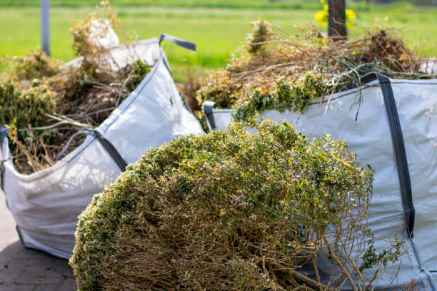 Best Junk Hauling Services  in Delmont, PA